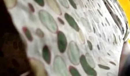 Một sinh viên ngủ với một người đàn ông trưởng thành để tài trợ cho cô phim sex gai dep nhat ban khong che ấy.