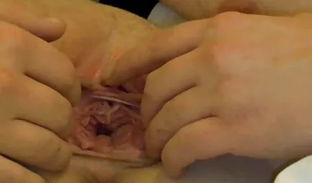 Cô gái, phim sex nhat ban hd trò chơi với cơ thể