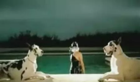 Tấn công phim sex nhat ban gai xinh tất cả các vết nứt